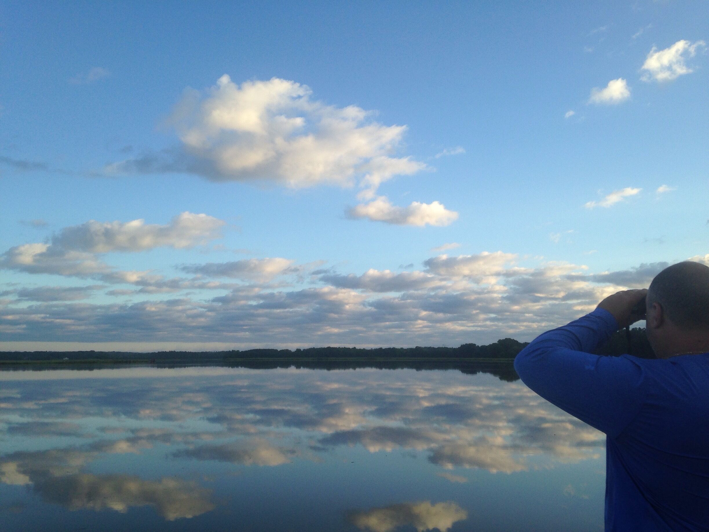 As far as the eye can see... 