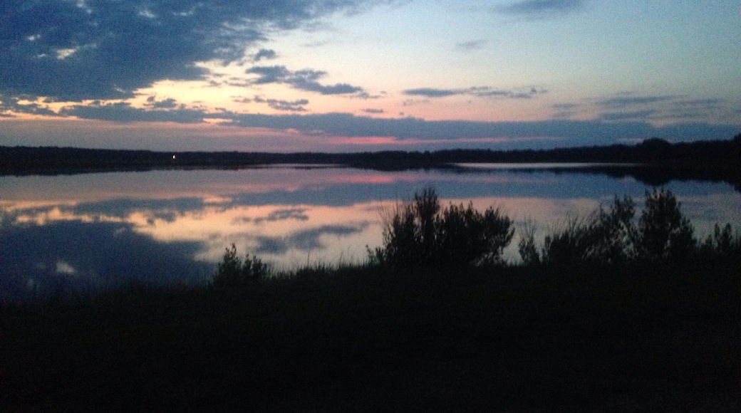 Calm water mirror images