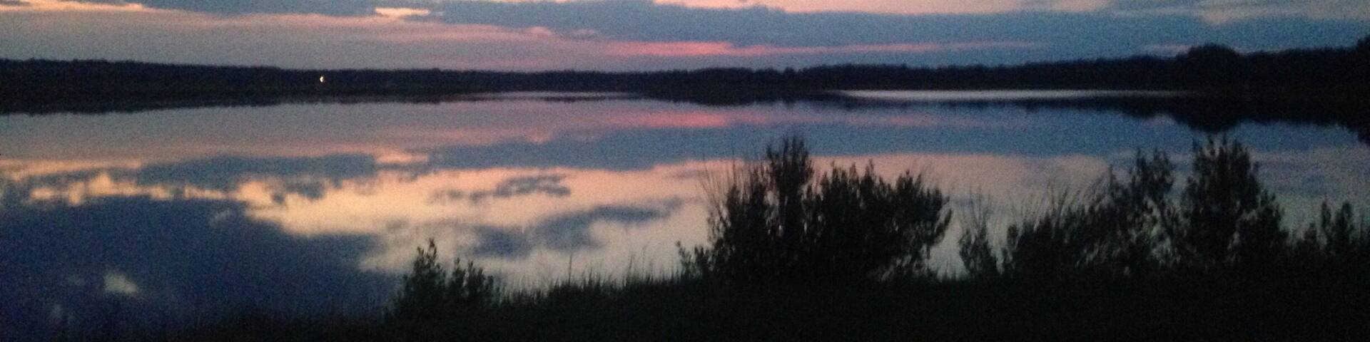 Calm water mirror images