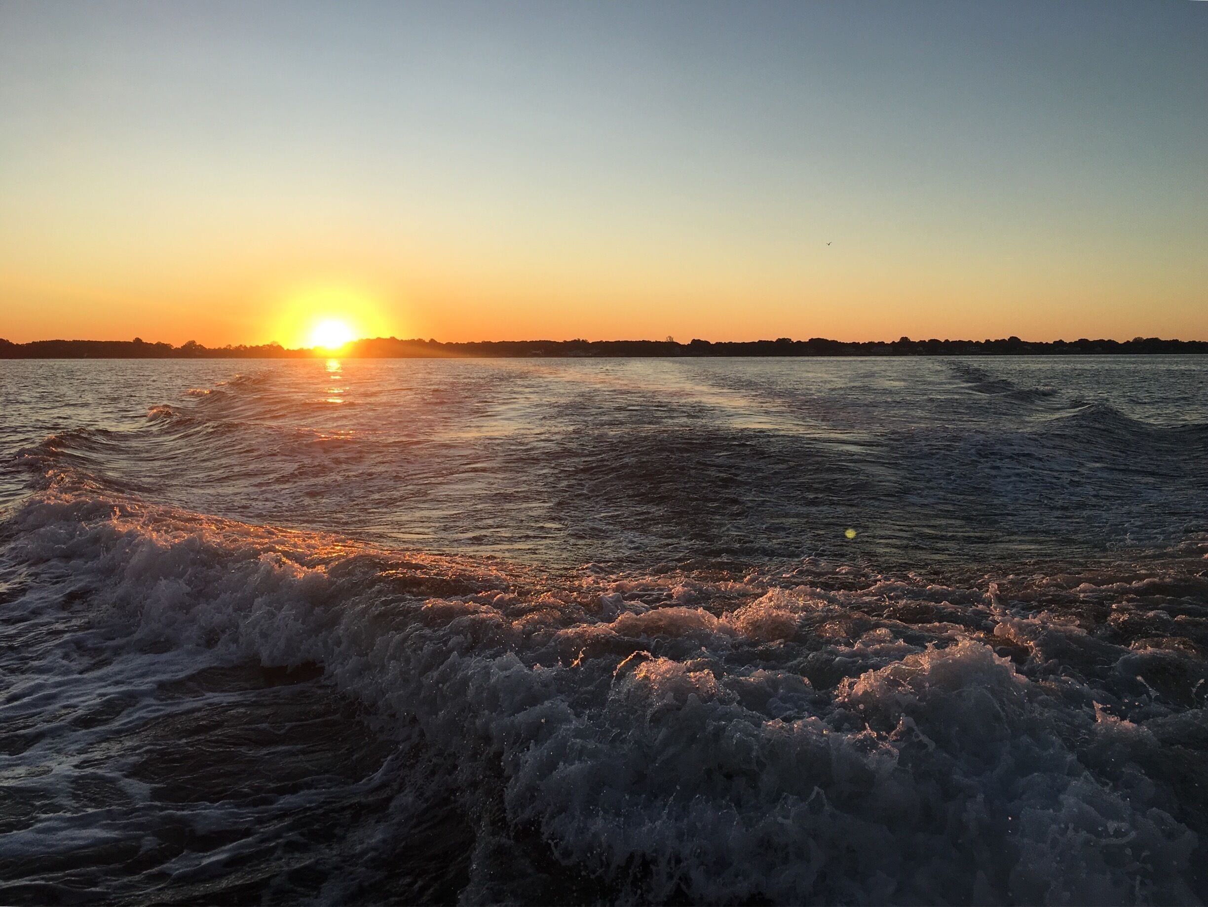 We came up to this clearing in the forest, where these huge boulders stretched over the mountainside. When we got to the top we saw this amazing view of the valley of California.