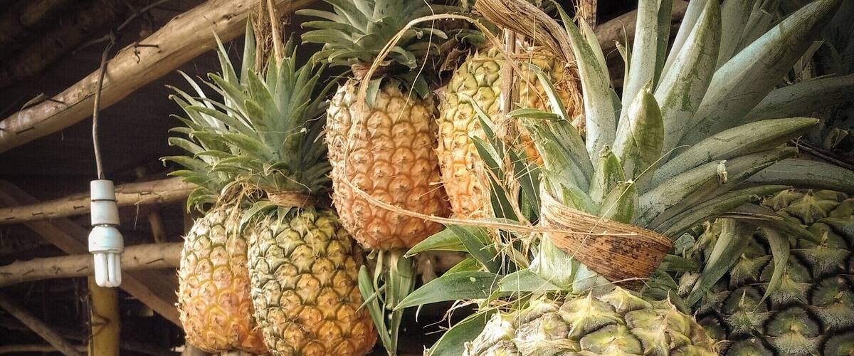 ...I've had the best pineapples of my life in Uganda! I still miss those mornings, those trips... every single occasion I would be able to sample them.
#colorful #delicious