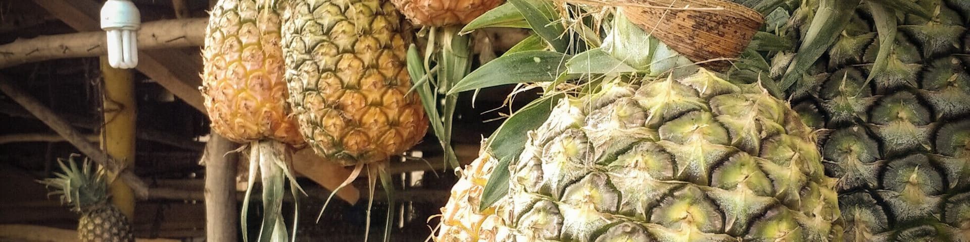 ...I've had the best pineapples of my life in Uganda! I still miss those mornings, those trips... every single occasion I would be able to sample them.
#colorful #delicious