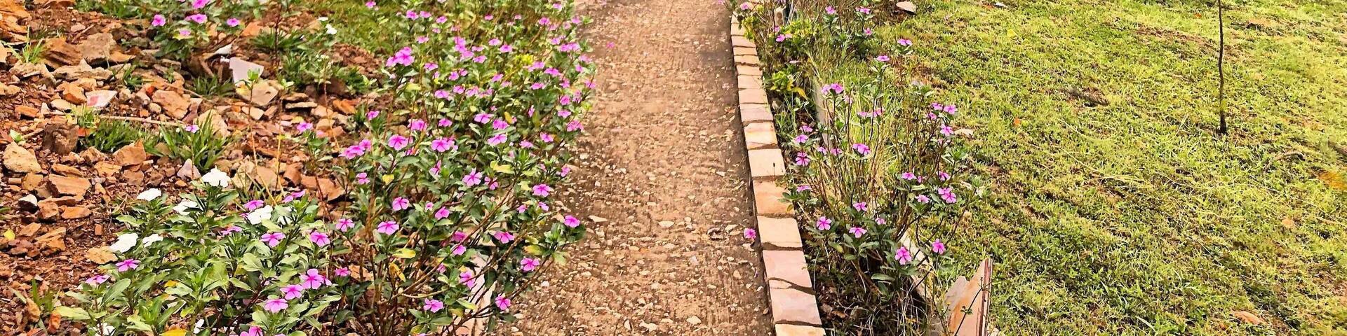 Paradise in Lake Mburo National Park
#uganda #africa #mburo #nationalpark #lakemburo