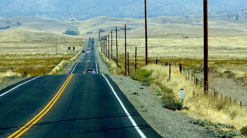 After 5 years of drought, the drive to Yosemite was incredibly yellow.