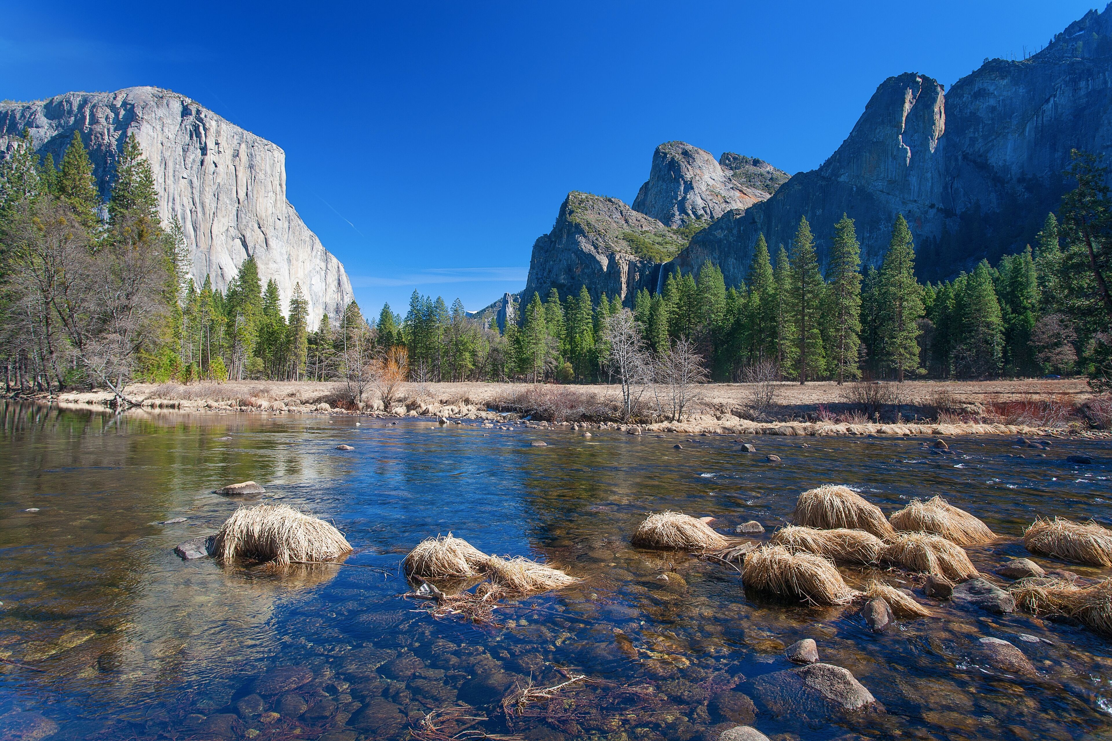 Amazing National Park in California, Yosemite