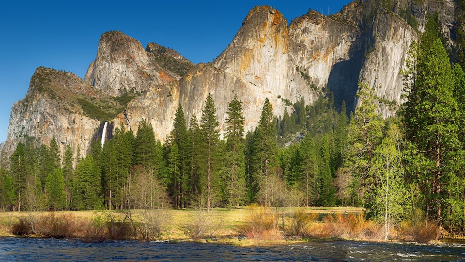 A river flowing through a forest with tall, rugged mountains in the background.
