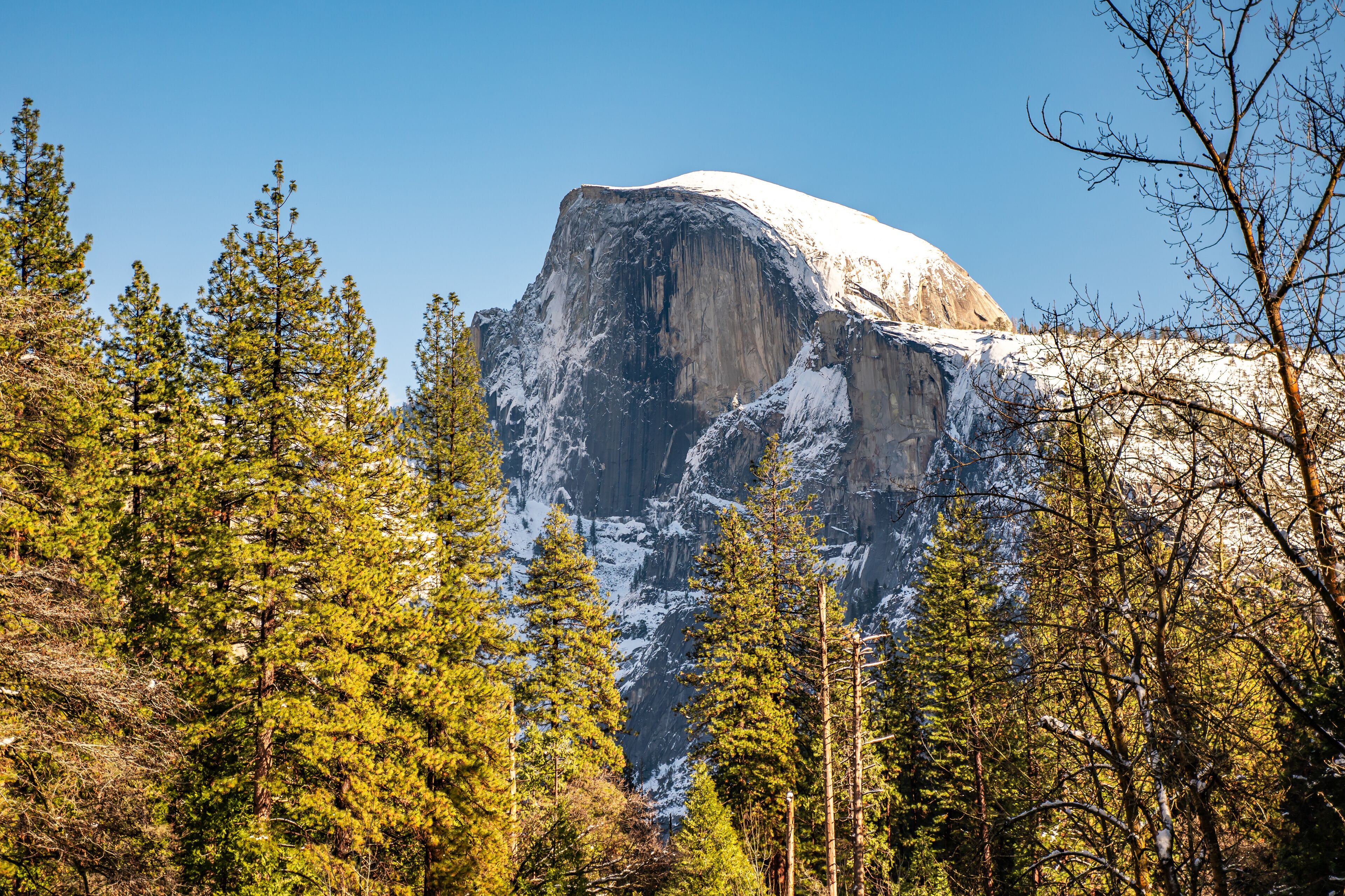 View of the Half Dome and the Merced River from the Sentinel Bridge in Yosemite National Park