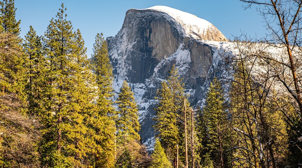 View of the Half Dome and the Merced River from the Sentinel Bridge in Yosemite National Park