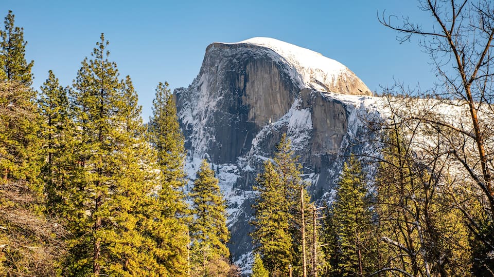 A snow-capped mountain with dense forest in the foreground.