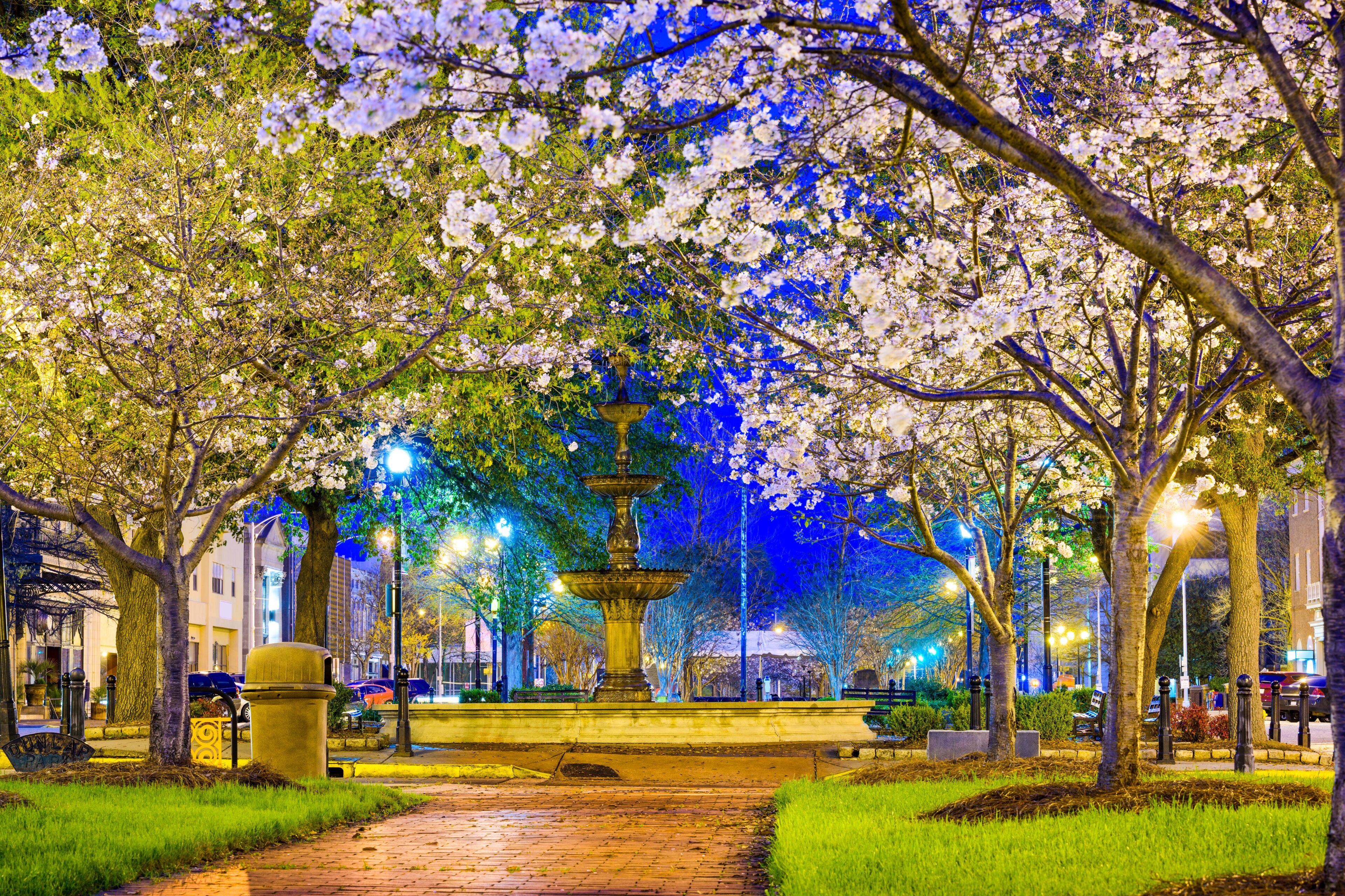A nighttime park with cherry blossoms, a central fountain, and street lamps.