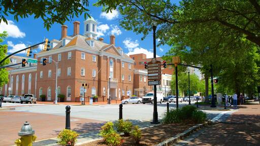 Macon showing a city