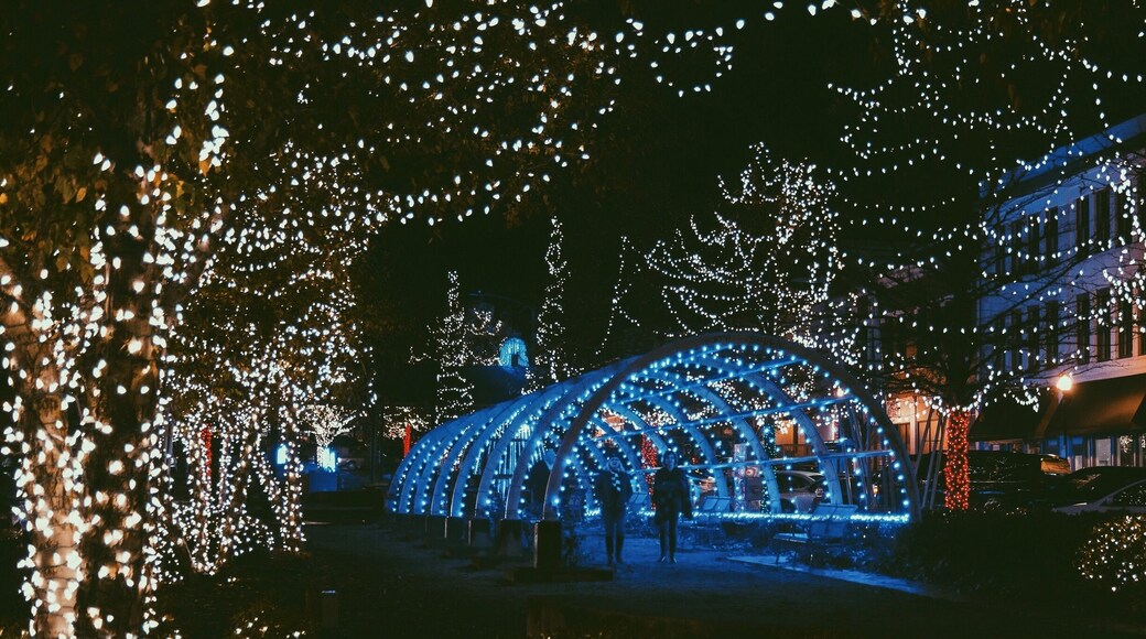 Poplar St. during Christmas time in downtown Macon.