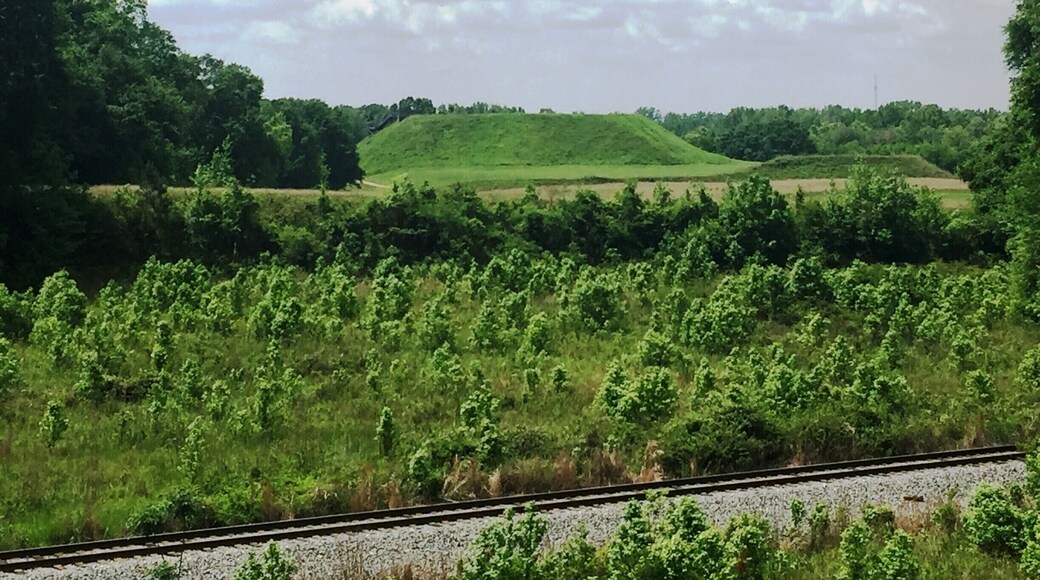 A great place to study the early history of Native Americans. I loved just walking these grounds and trying to imagine what it was like when their civilization was at its peak.