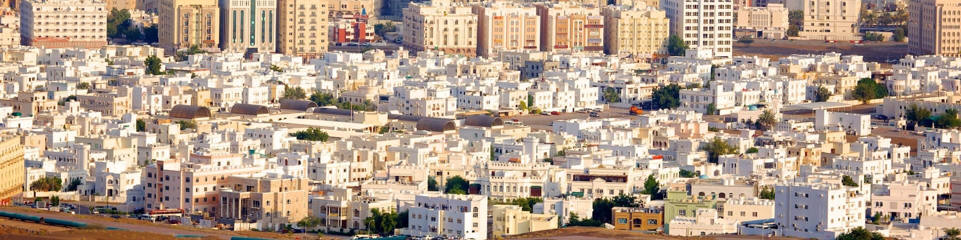 Muscat featuring a city