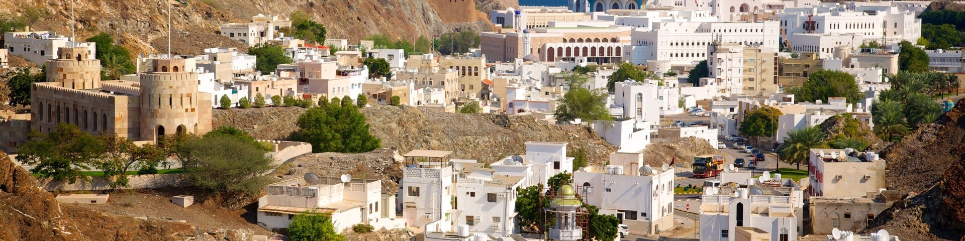 Muscat featuring a coastal town
