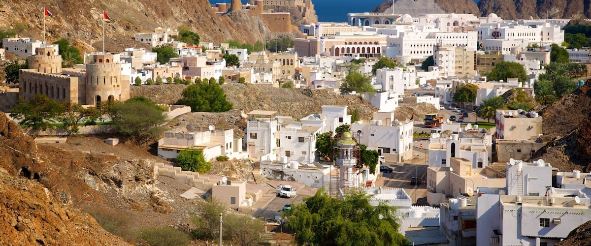 Muscat showing a coastal town