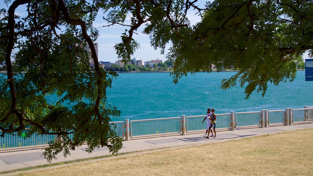 A waterfront park with a walking path, trees, and a view of the water and distant buildings.