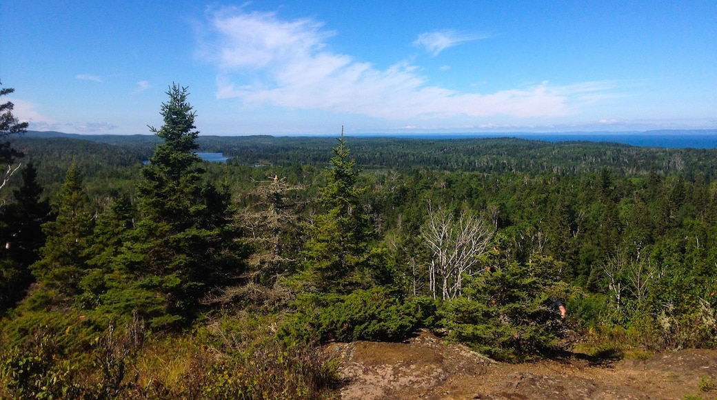 A sea of #Green below Greenstone Ridge in Isle Royale NP