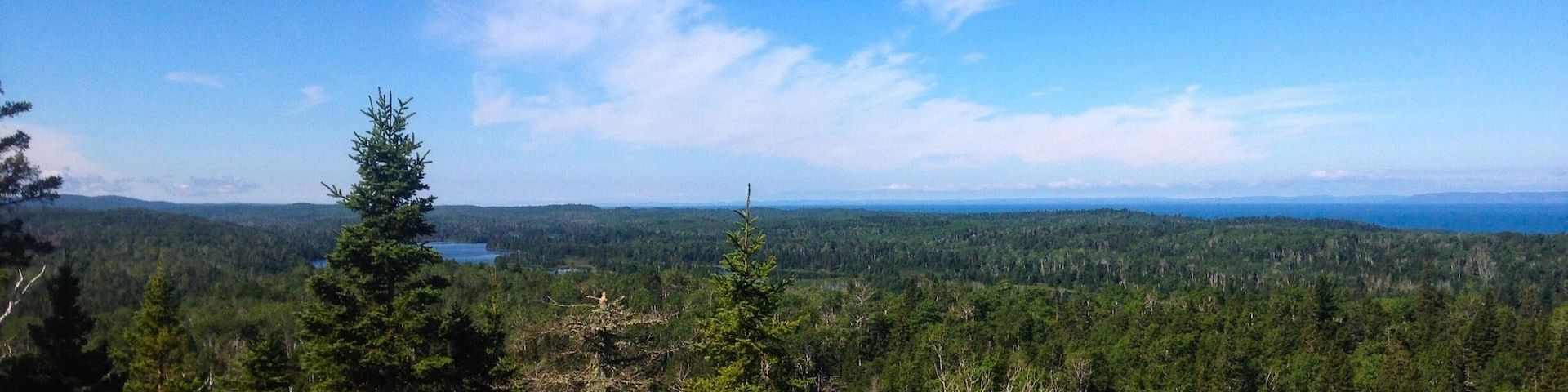 A forested mountain landscape with a clear blue sky.