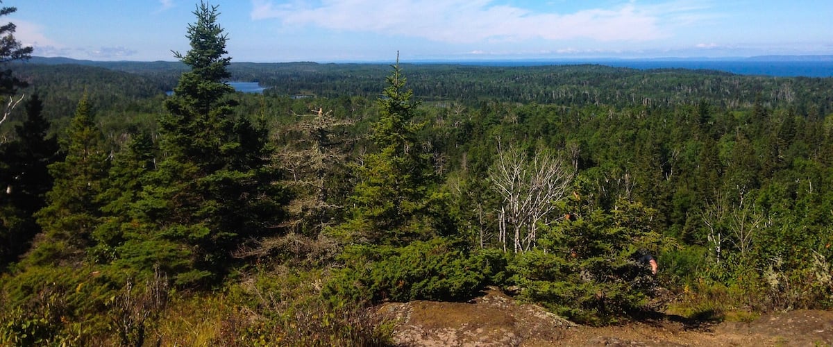 A forested mountain landscape with a clear blue sky.