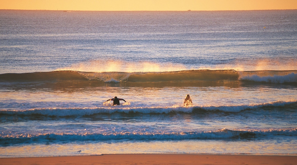 Maroochydore featuring surf, a sunset and a sandy beach