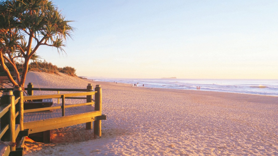 Une plage de sable avec une promenade en bois et des palmiers.
