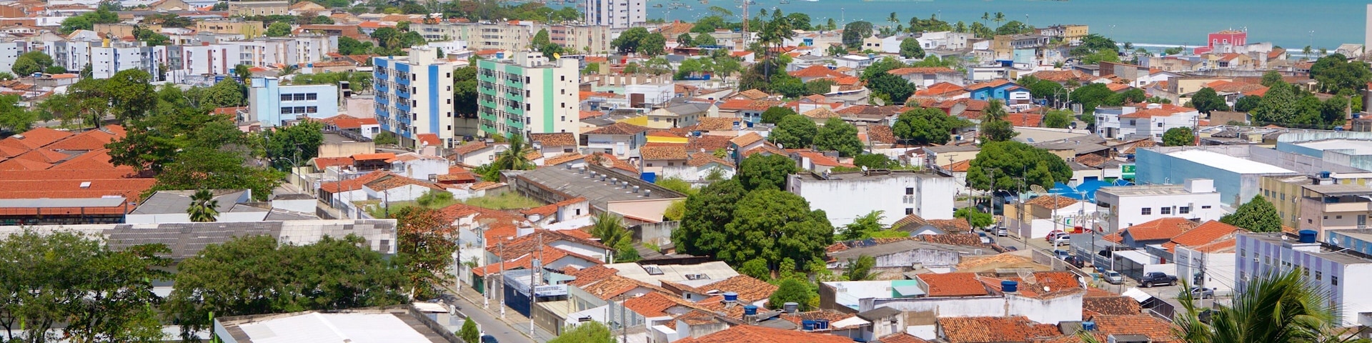 A coastal cityscape with dense housing, a prominent tall building, and a marina with ships.
