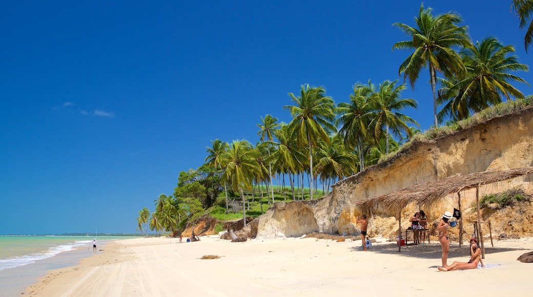 Maceio toont algemene kustgezichten, tropische uitzichten en een strand