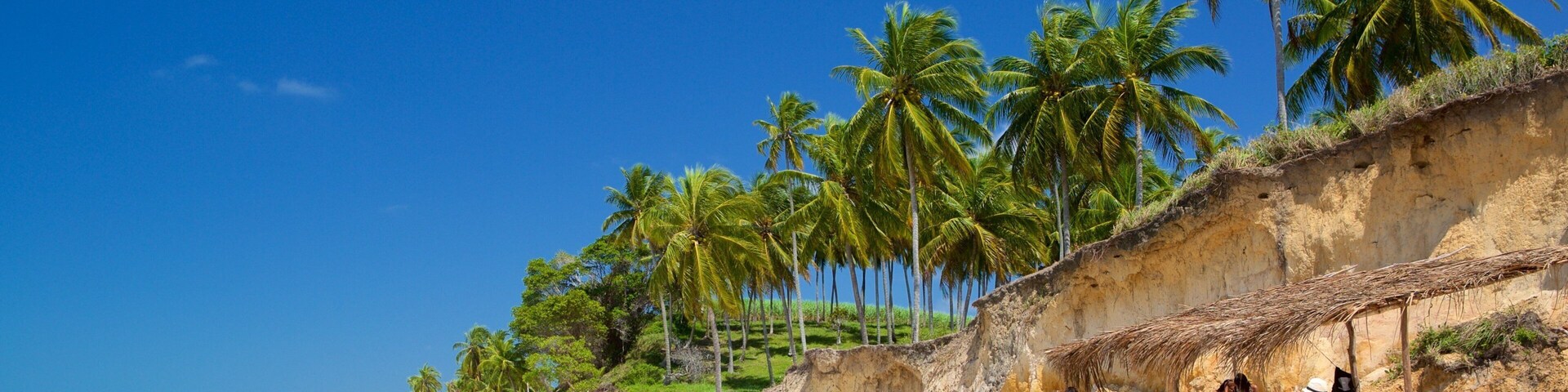 Maceió ofreciendo una playa de arena, vista general a la costa y escenas tropicales