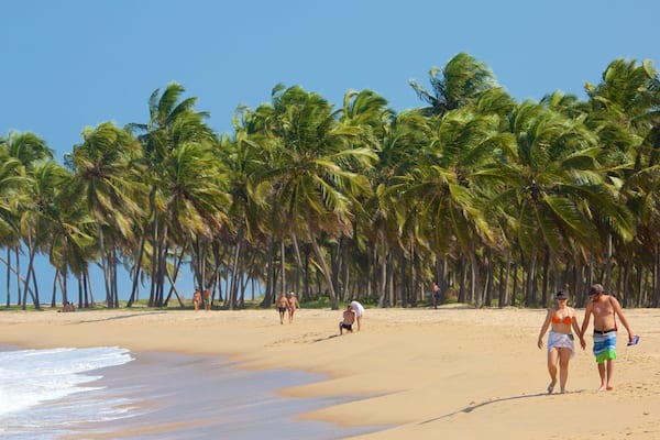 Uma praia com palmeiras e pessoas caminhando pela margem.