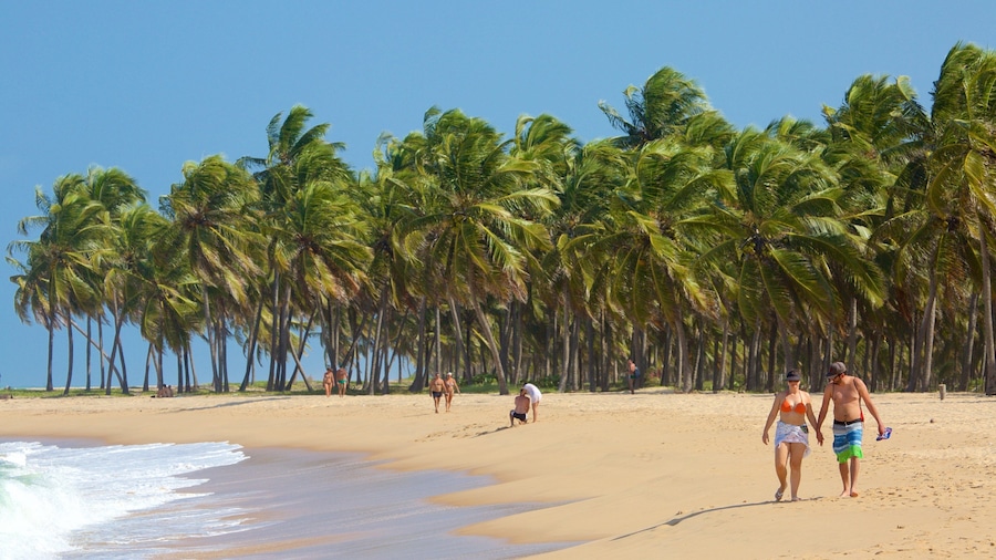 Maceio featuring a sandy beach and tropical scenes as well as a couple