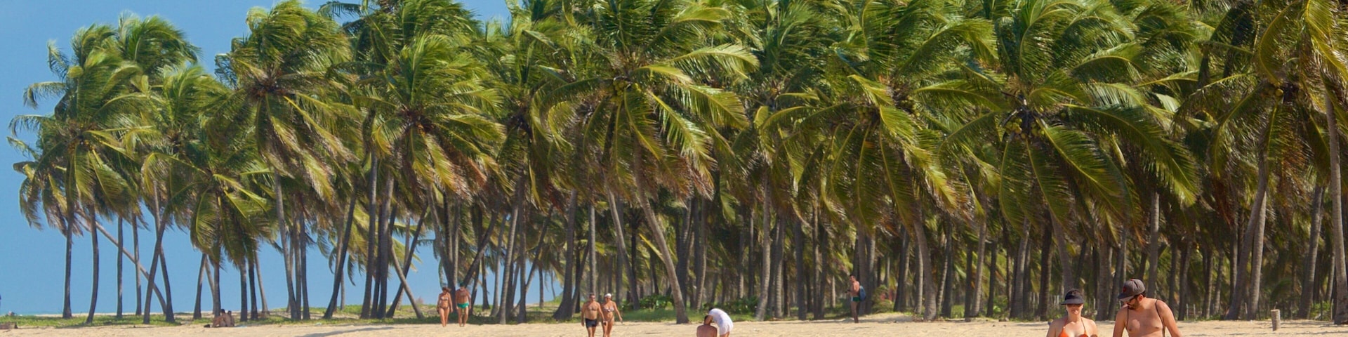 Maceio which includes a beach and tropical scenes as well as a couple