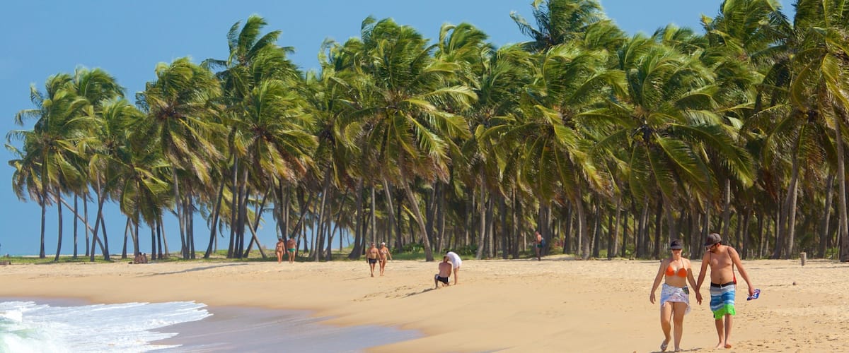 Maceio featuring a beach and tropical scenes as well as a couple