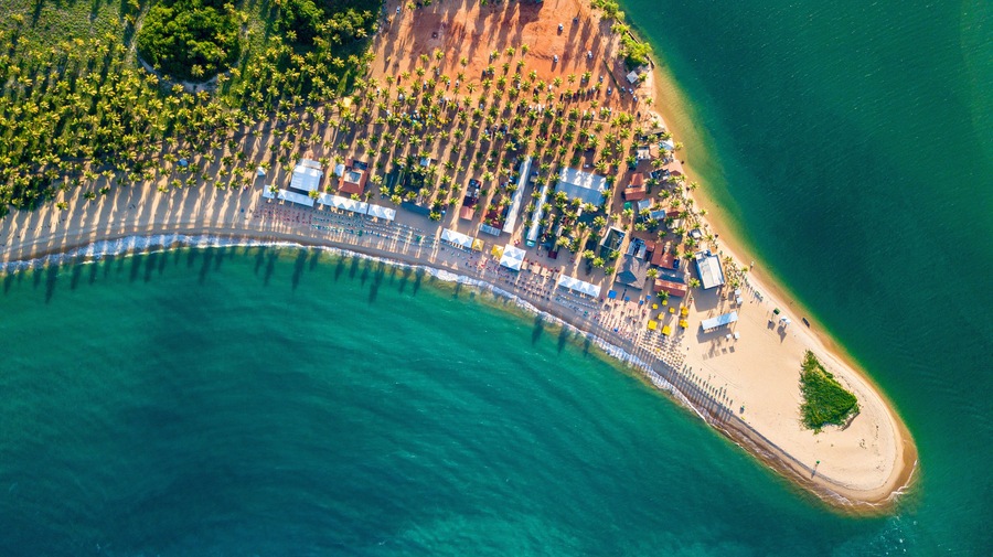 Vista aérea de uma praia com fileiras de palmeiras, areal e oceano azul cristalino.