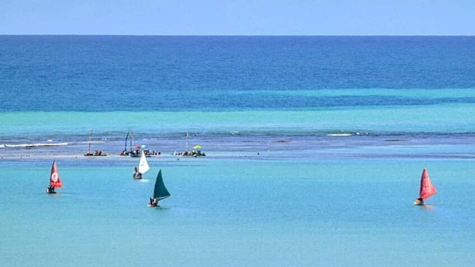 Rafts navigating to the natural pool of Pajuçara Beach, in Maceió, Alagoas, Brazil.