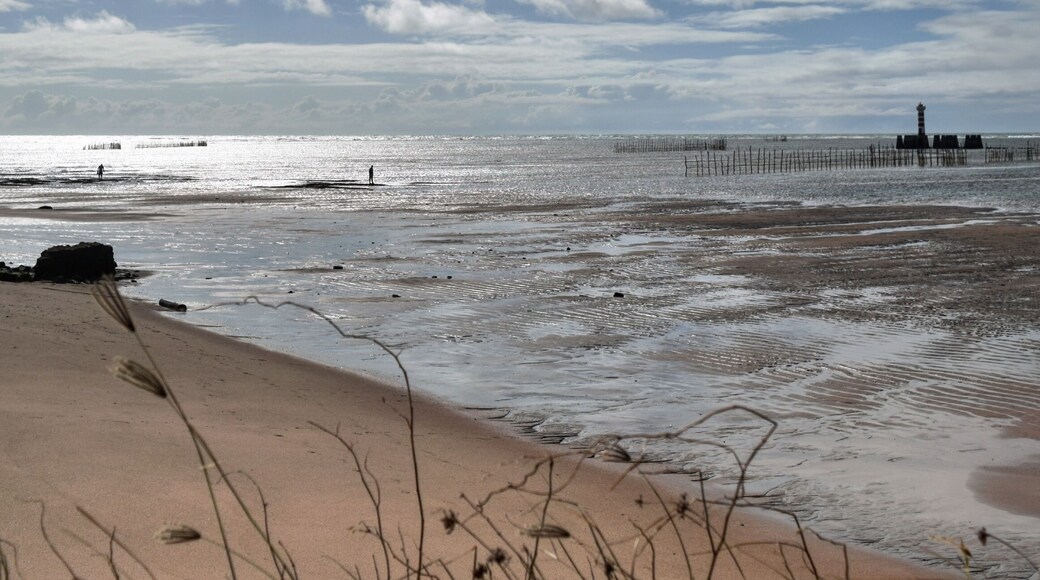 Ponta Verde beach is a famous and beautiful place at Maceió city, Alagoas, Brazil .