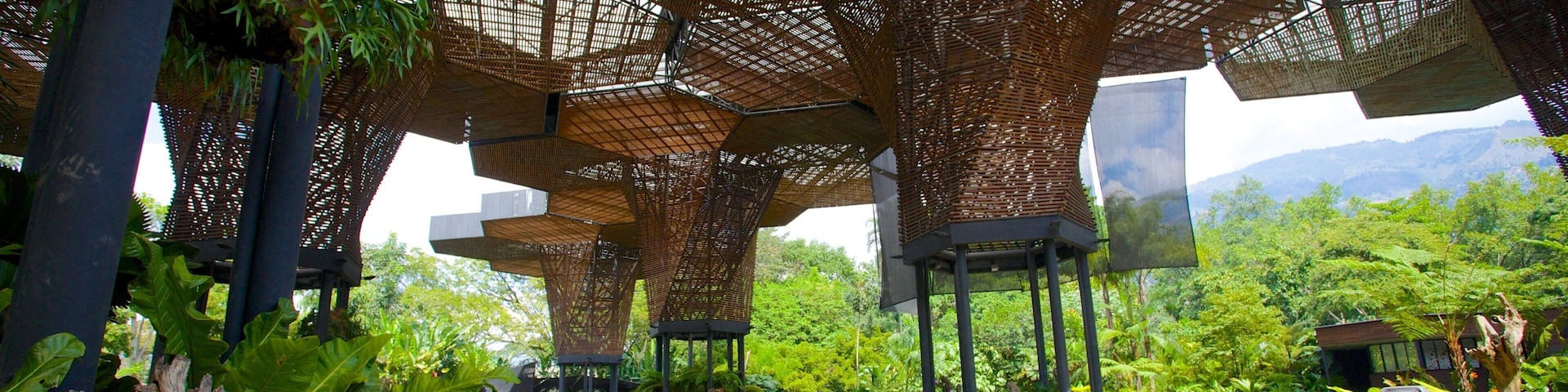 Un espacio al aire libre cubierto con estructuras de madera hexagonales y abundante vegetación.