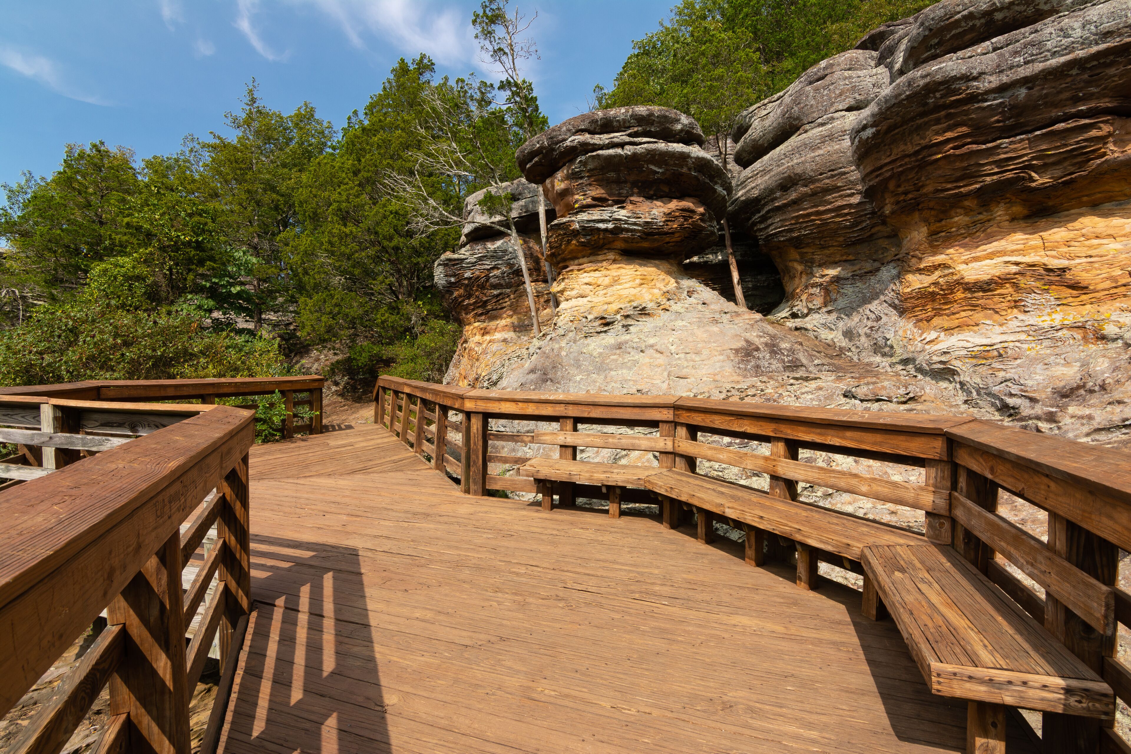 Wooden Walkway
