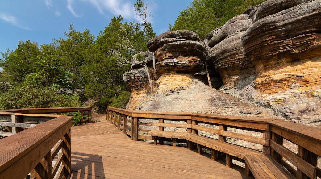 Wooden Walkway