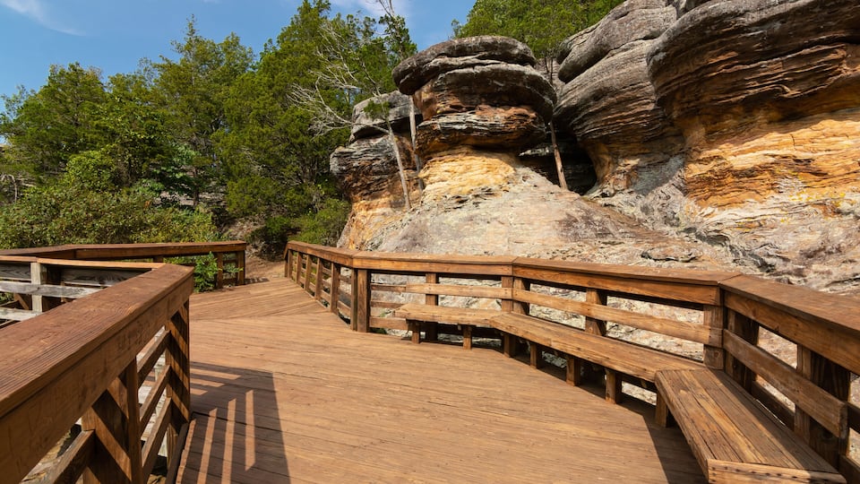 Wooden Walkway