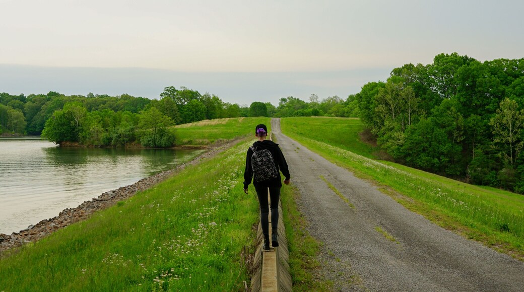 southern illinois