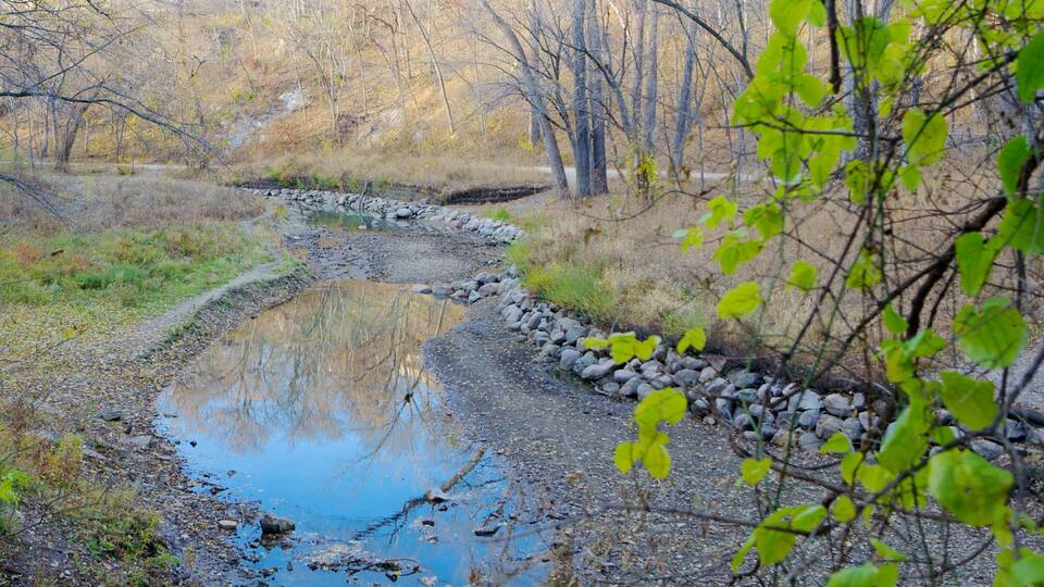 A narrow stream with a rocky edge, surrounded by trees and dry grass.