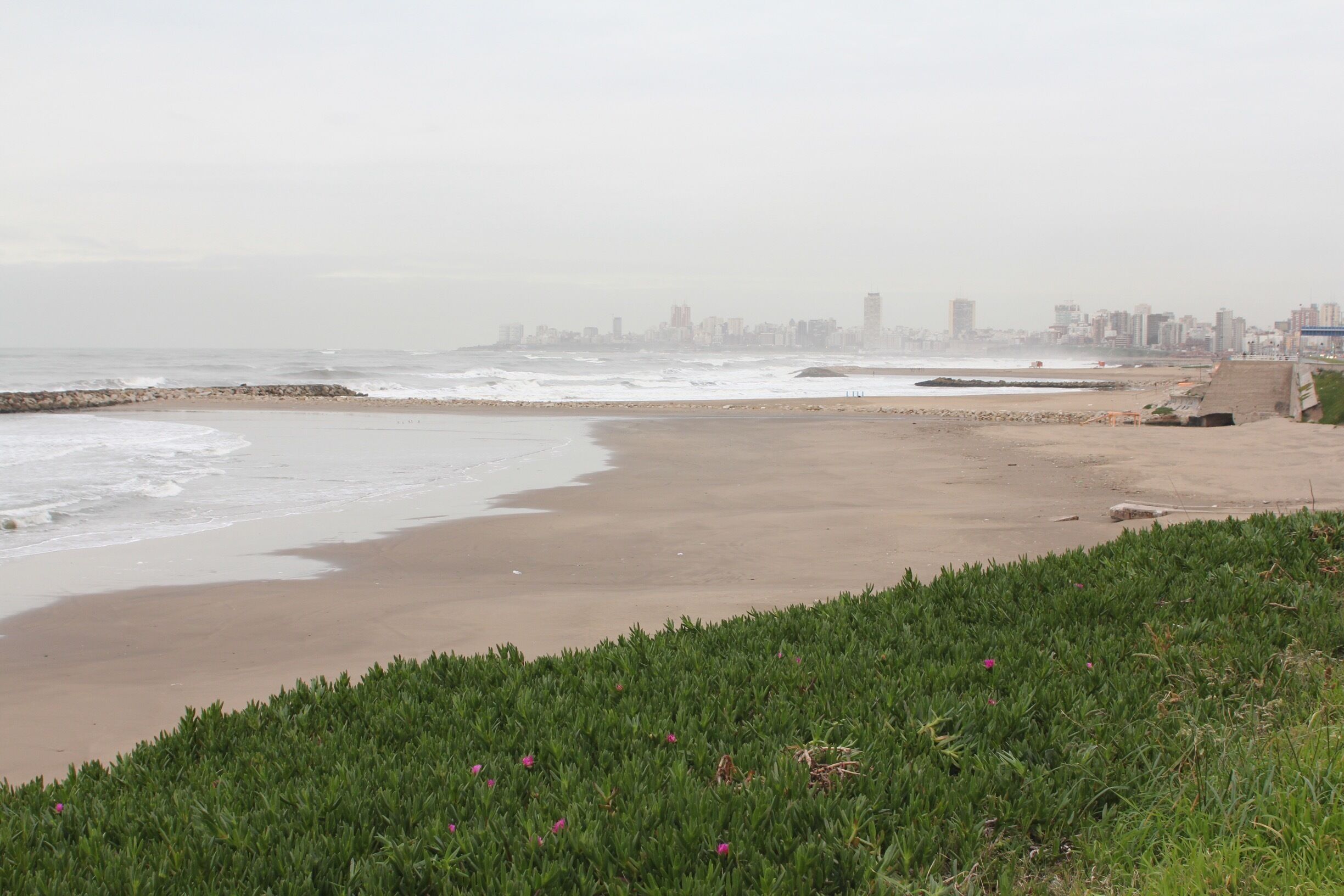 Photo taken in the early spring so outside of the holiday season. There are stray dogs on every corner but they all seem fairly placid. Those with a sweet-tooth will love Argentina; coffee shops selling a range of sweets and cakes are plentiful. 