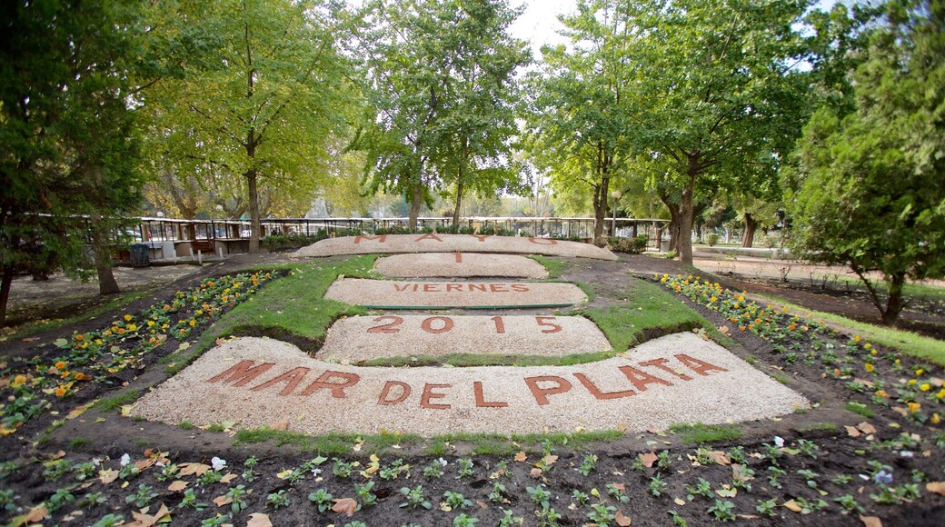 Mar del Plata showing a garden and a monument