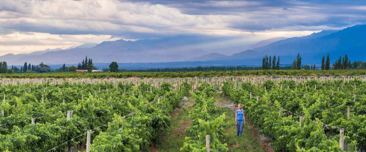 Woman in vineyards in Andes mountains on wine tasting vacation at a winery in Uco Valley (Valle de Uco), a wine region in Mendoza Province, Argentina, South America