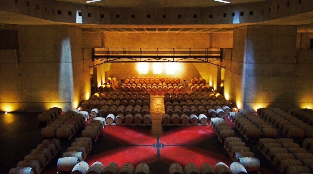 This is the wine cellar at O Fournier in the Mendoza wine region in Argentia. Omnius and incredible. The architecture and art in the winery may be better than than the wine...