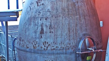 This is a relatively new winery run by the Michelini Family. They have pioneered new winemaking techniques including these ceramic "eggs" to ferment the wine. The kids have decorated all the eggs- this one has a picture of the family on it.