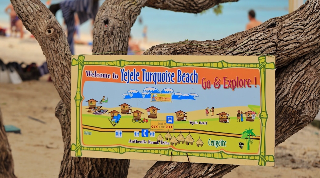 On our second island stop on our P&O cruise we caught a tour bus to this majestic beach Yejele Beach. It was a grey sky day and it didn't even matter the white sands create the prettiest blues of the ocean you have ever seen. We snorkelled here and the closed in reef made us feel safe and the ocean life was breathtaking