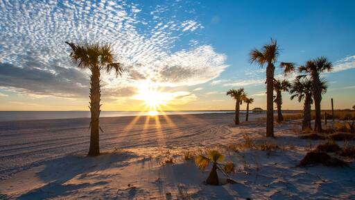A beach with palm trees and the sun setting over the ocean.