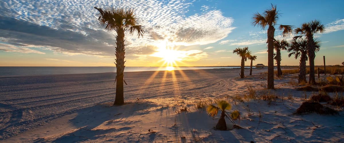 A beach with palm trees and the sun setting over the ocean.